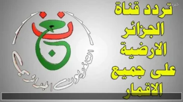 بشفرة القناة الأرضية.. مباراة الأهلي وشبيبة القبائل تبث عبر تردد Programme National